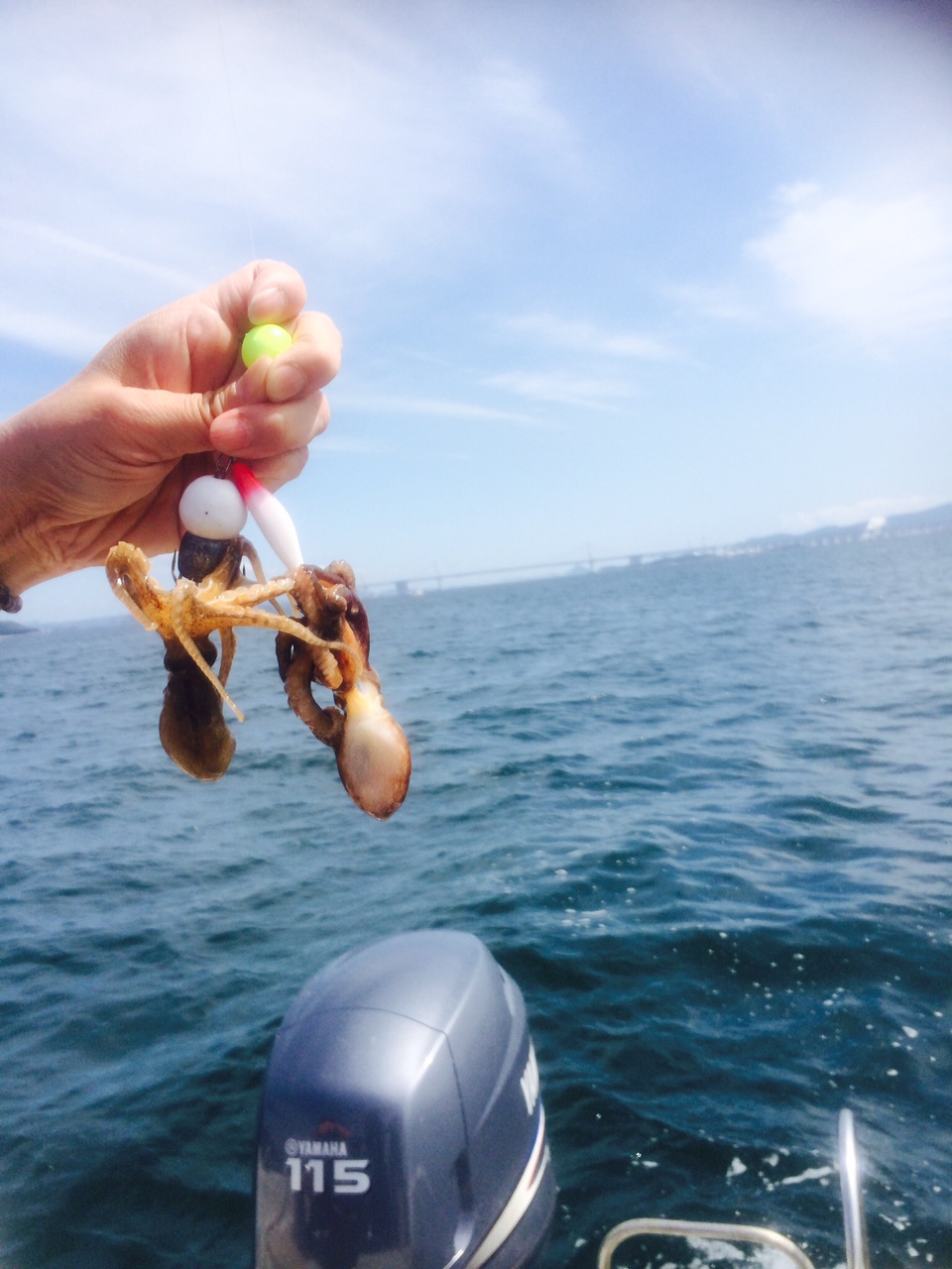 イイダコ釣り 丸亀市 美容室 ガゼルヘアーデザイン