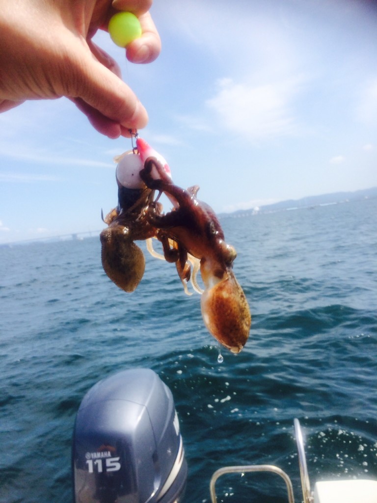 イイダコ釣り 丸亀市 美容室 ガゼルヘアーデザイン