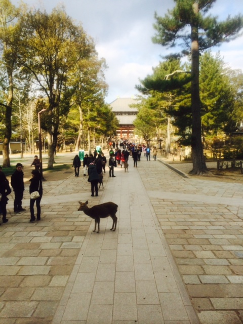 写真 1 (3) (480x640)