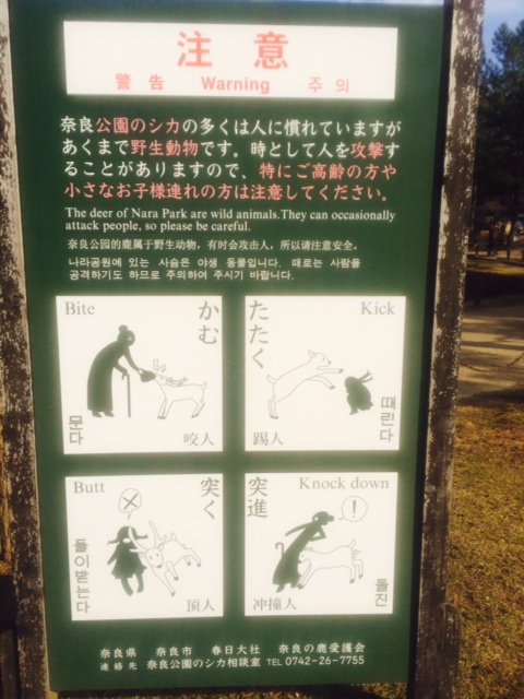 写真 3 (1)